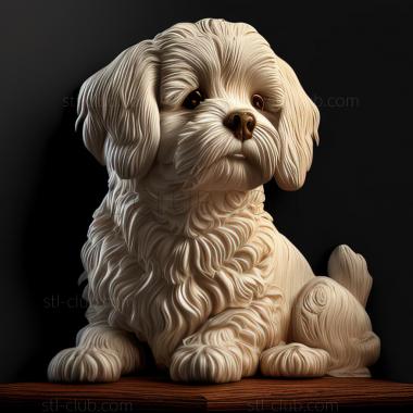 3D model st Bolognese dog (STL)